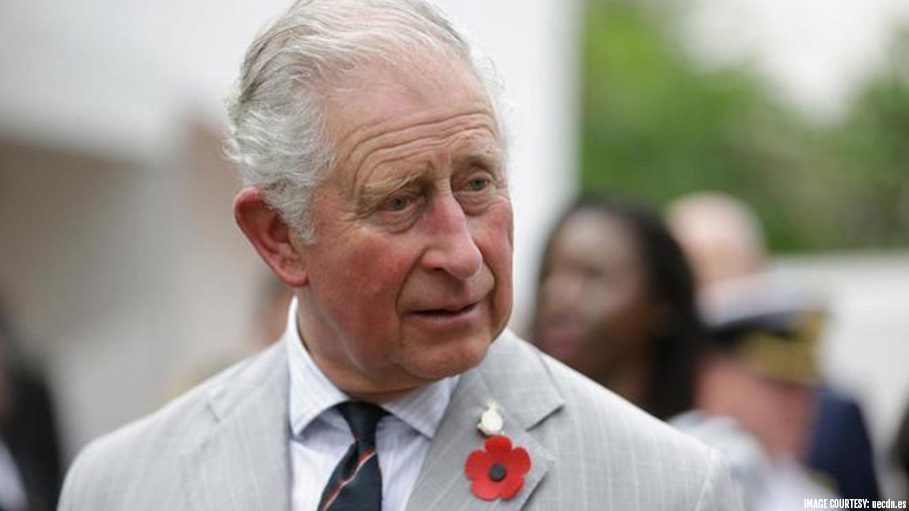 Prince Charles says, “I am Not That Stupid”