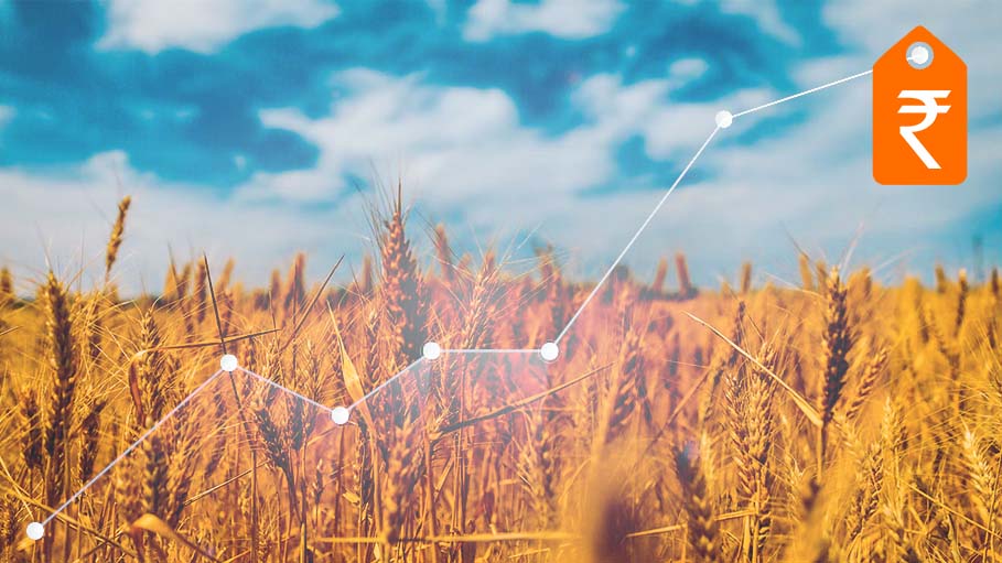 Wheat Price Rises as India Mulls Export Curbs of Grain