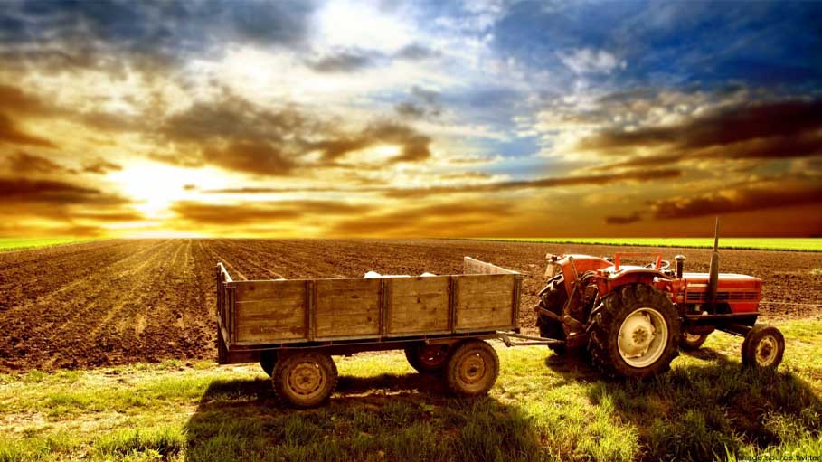 Ukraine Has Lost a Quarter of Its Arable Land to War
