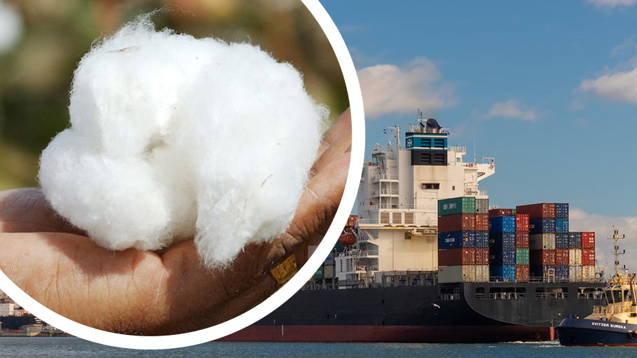 India's Sliding Cotton Exports to Match Imports for 1st Time in Decades