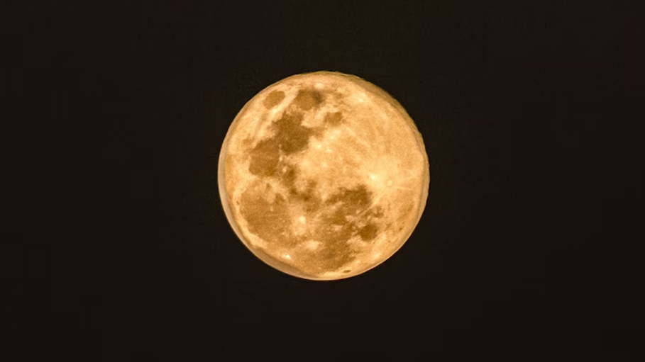 By 2025, Australian Scientists Seek to Grow Plants on Moon