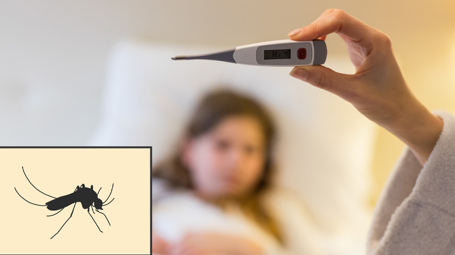West Bengal Reports 840 New Dengue Cases in One Day
