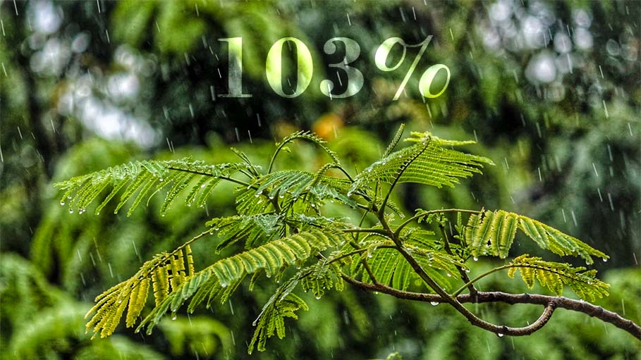 2022 Monsoon to Get 103% of Standard Rainfall: Weather Department