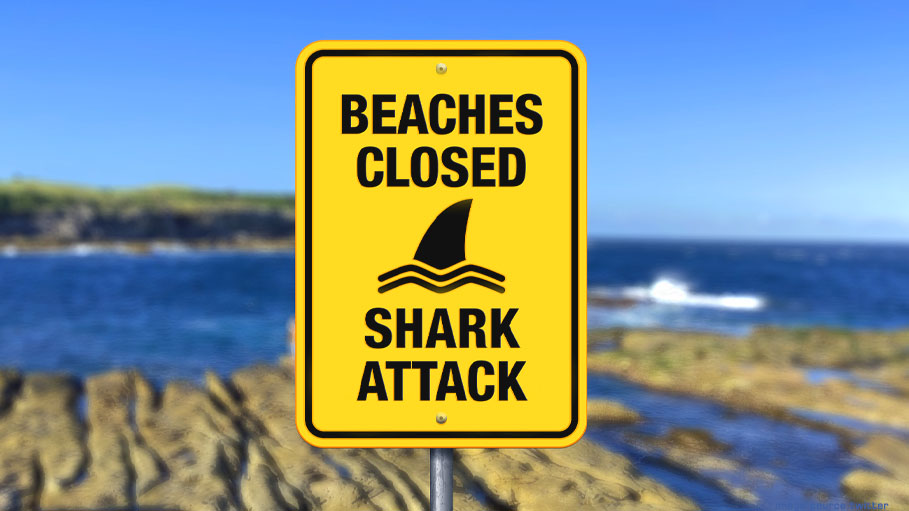 Swimmer Fatally Attacked by a Shark in Sydney; Beaches Closed