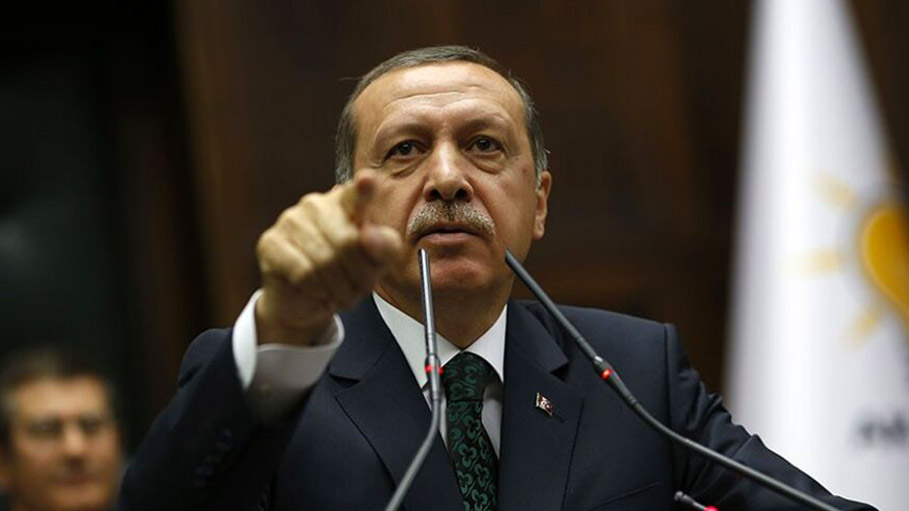 Turkey Providing Documents against Israel for Genocide Case: Erdogan