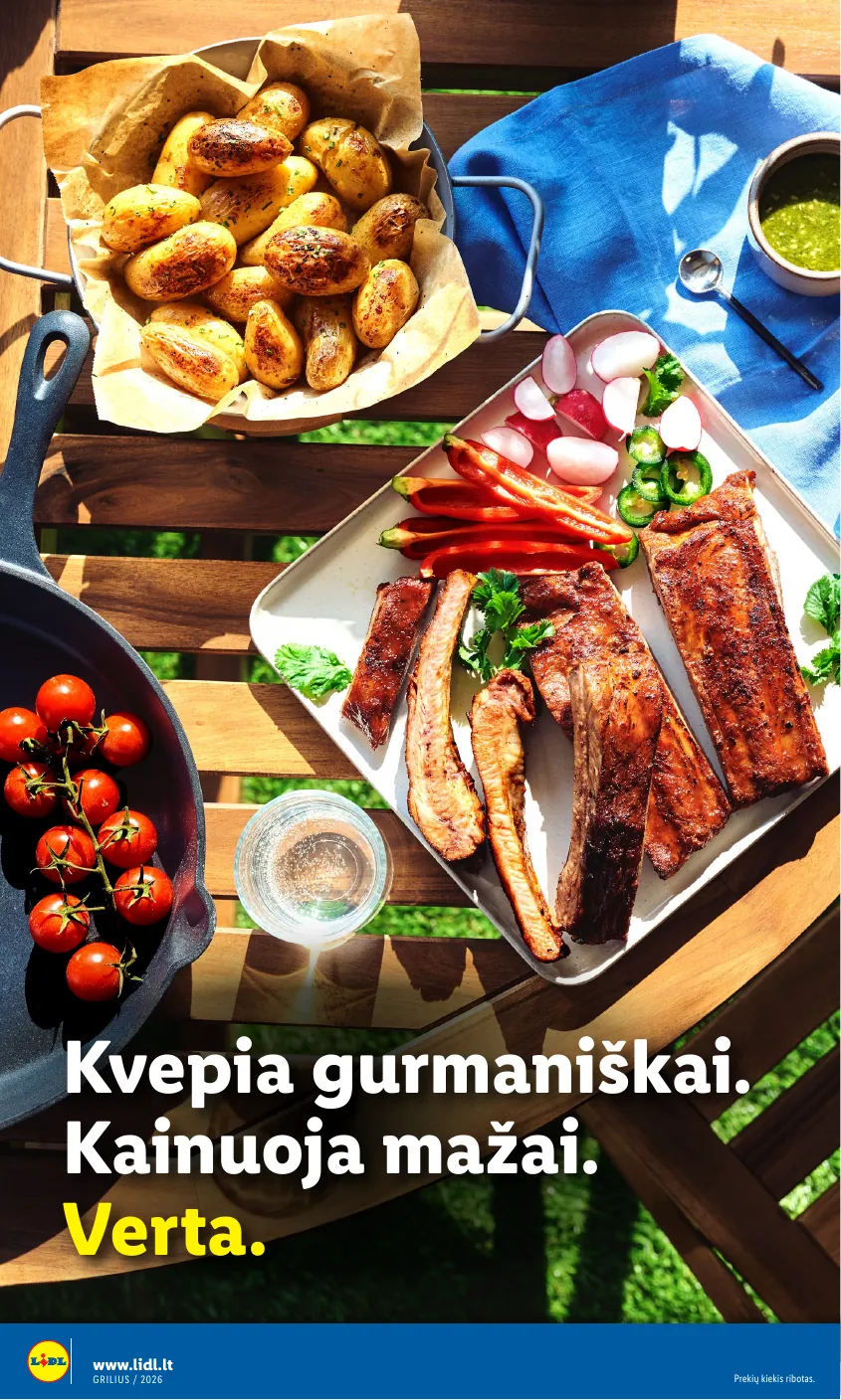 Lidl Leidinys Grilio katalogas Nuo pirmadienio, 04 06 – p.10