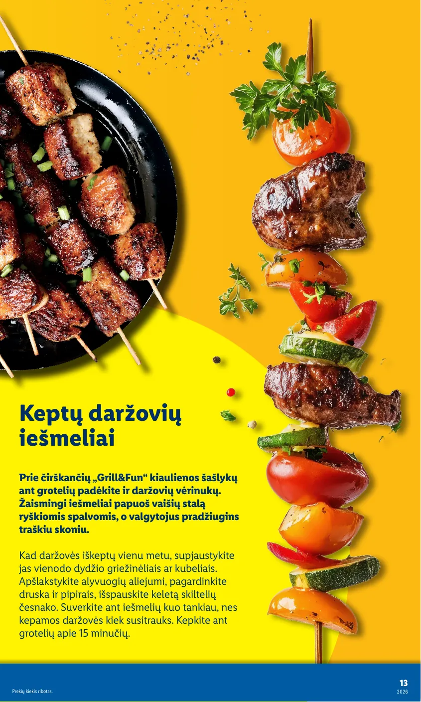 Lidl Leidinys Grilio katalogas Nuo pirmadienio, 04 06 – p.13