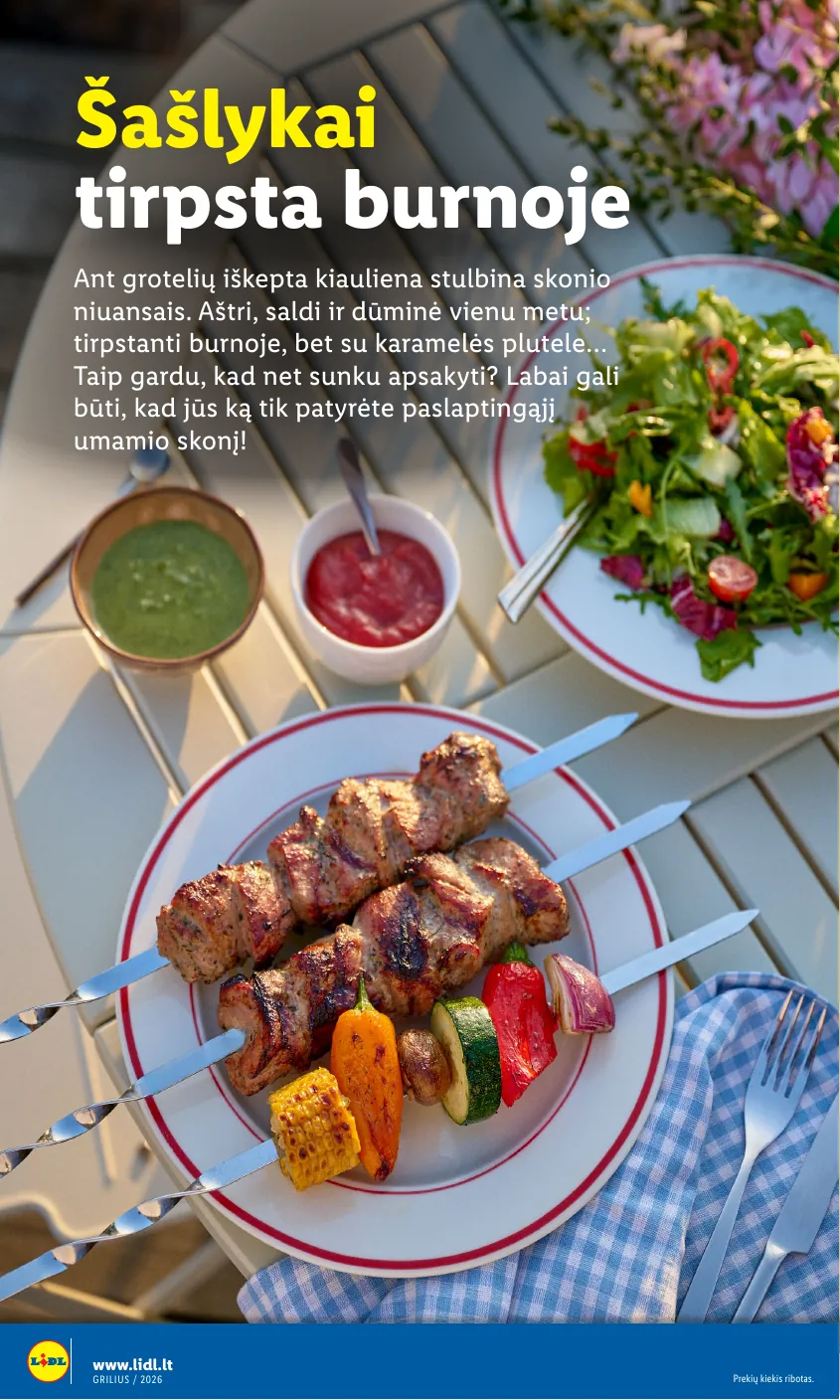 Lidl Leidinys Grilio katalogas Nuo pirmadienio, 04 06 – p.8