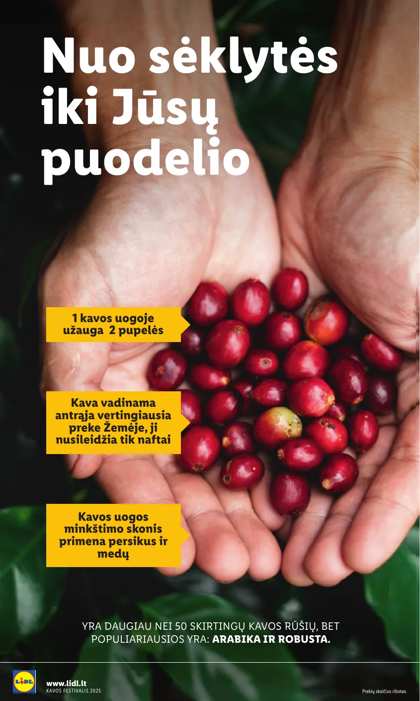 Lidl Leidinys KAVOS FESTIVALIS Nuo pirmadienio, 09 08, iki 09 21 – p.12