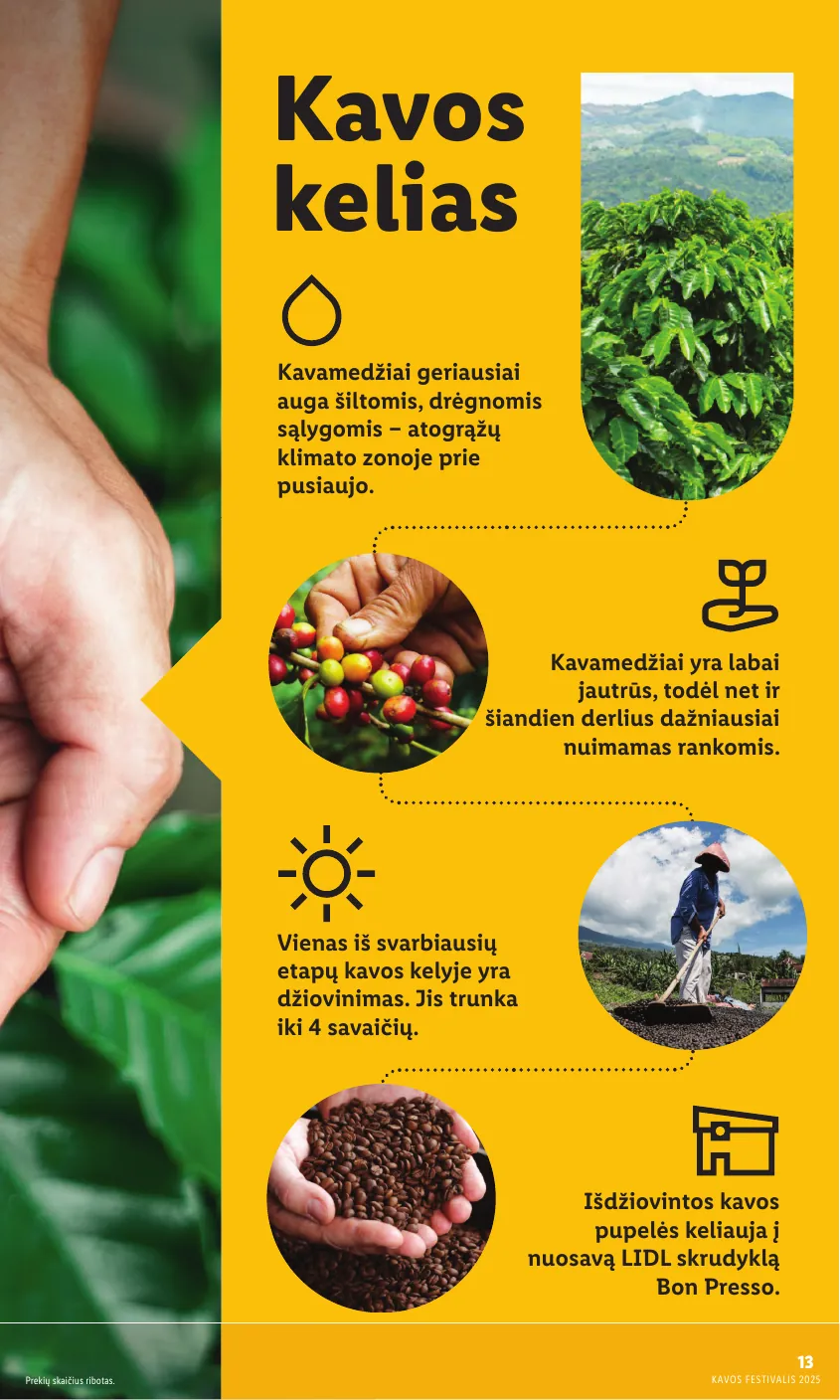 Lidl Leidinys KAVOS FESTIVALIS Nuo pirmadienio, 09 08, iki 09 21 – p.13