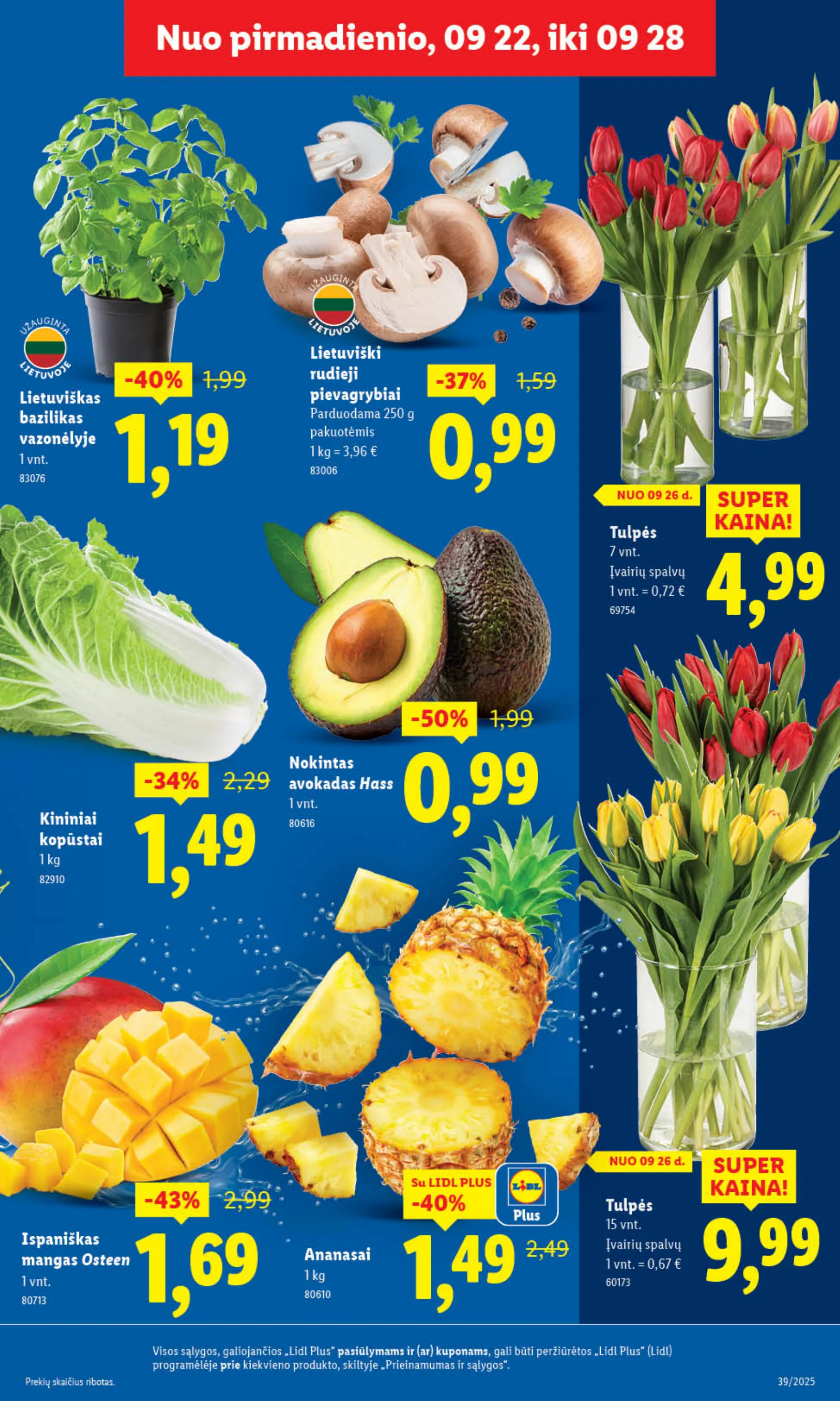 Lidl Leidinys MAISTO PREKIŲ PASIŪLYMAI – p.5