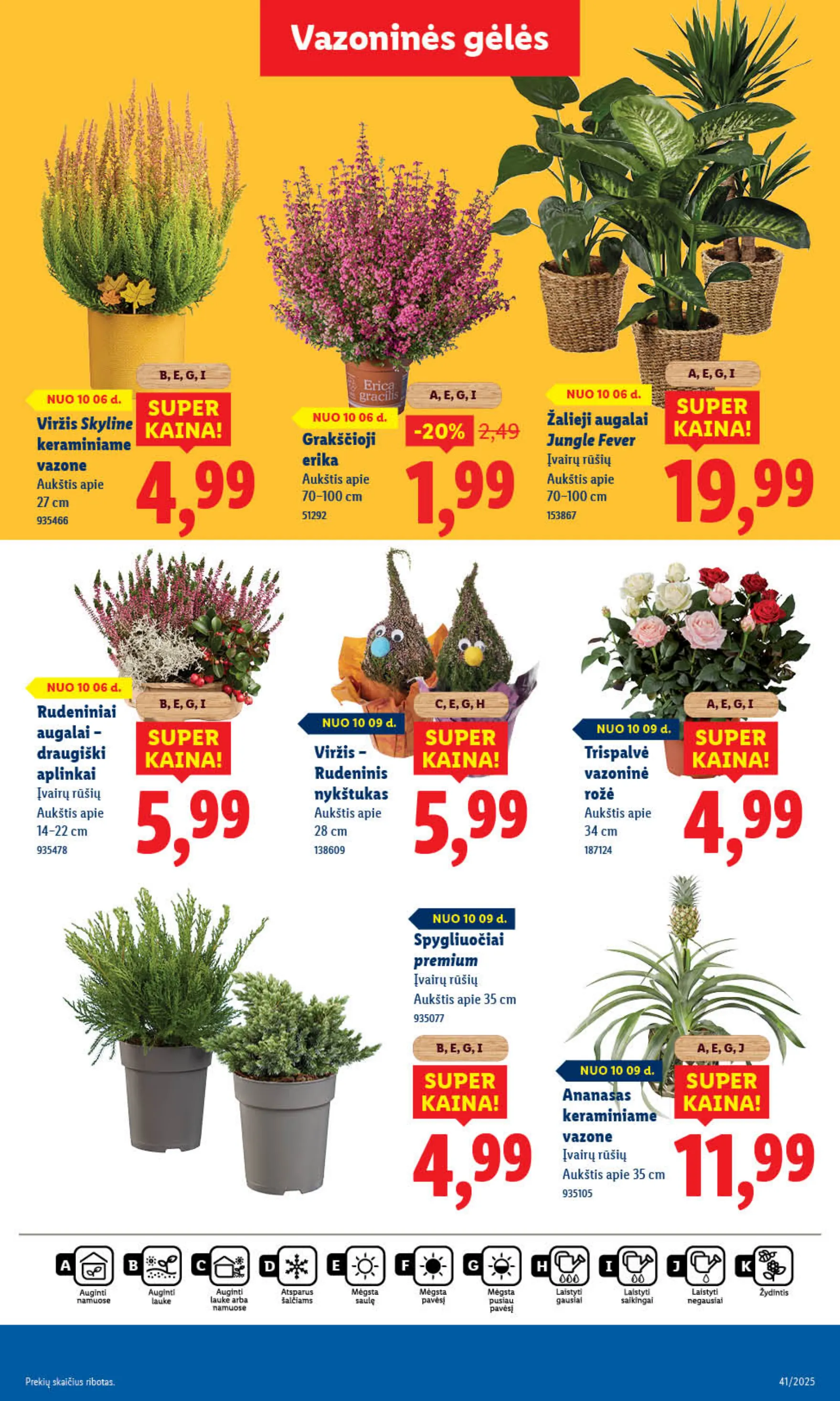 Lidl Leidinys MAISTO PREKIŲ PASIŪLYMAI – p.63