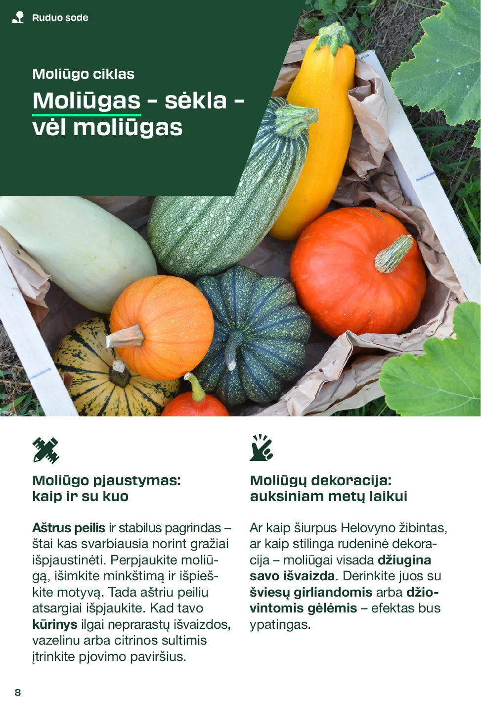 Lidl Leidinys PARKSIDE® 2025 M. RUDUO PASIDARYK PATS projektų žurnalas – p.8