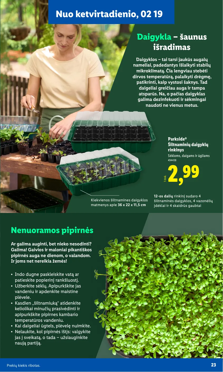 Lidl Leidinys Sodui valio! Nuo pirmadienio, 02 16 – p.11