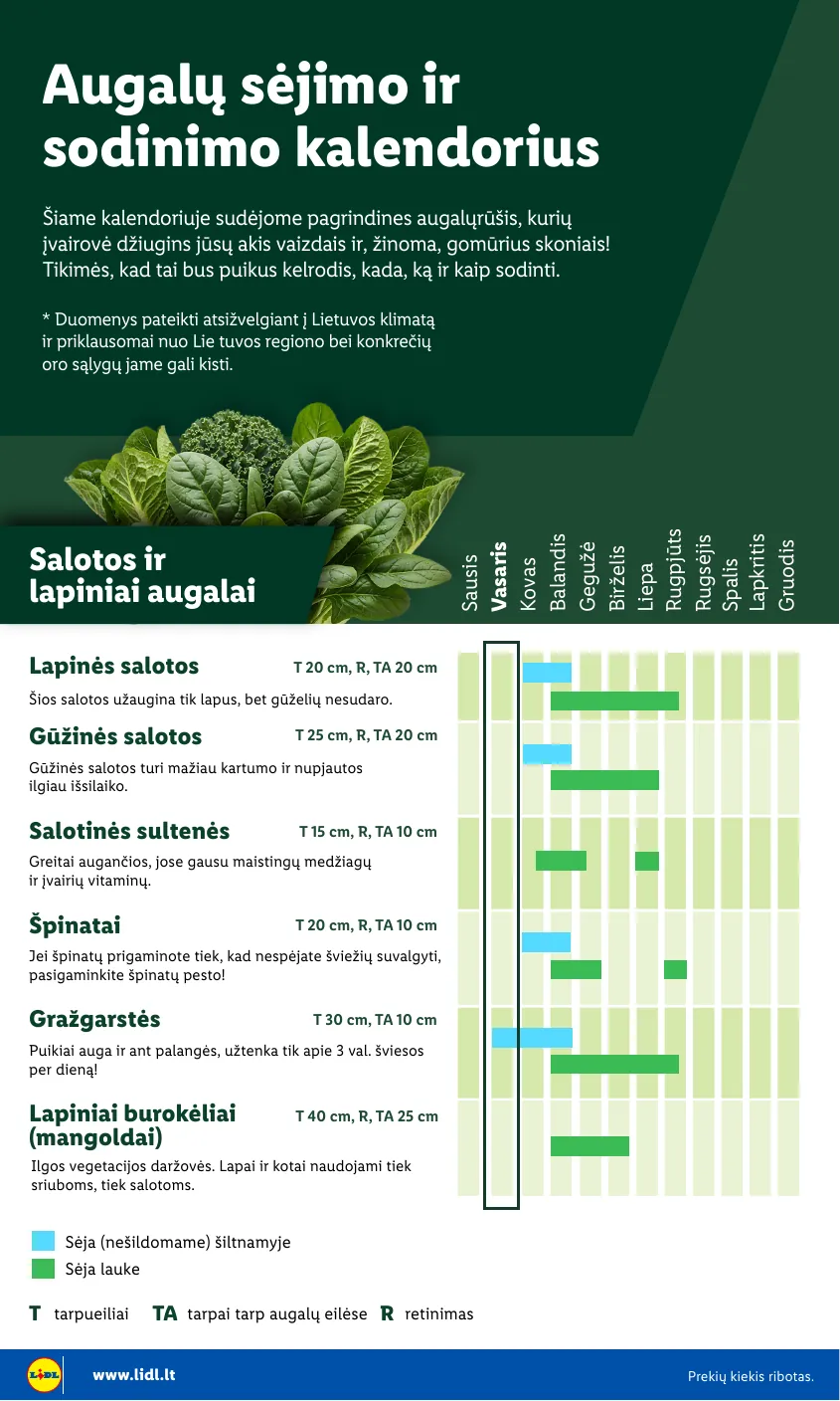 Lidl Leidinys Sodui valio! Nuo pirmadienio, 02 16 – p.4