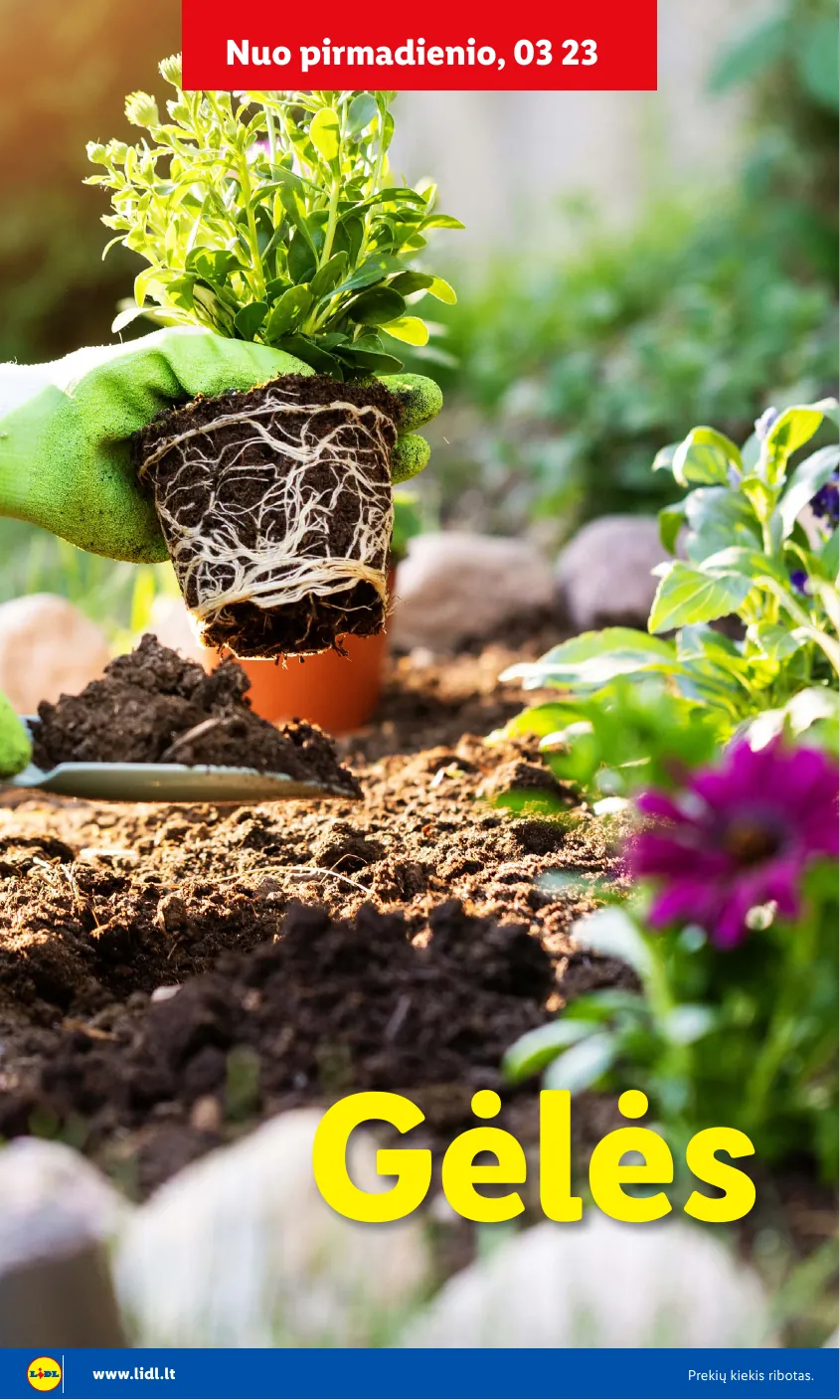 Lidl Leidinys Sodui valio! Nuo pirmadienio, 03 09 – p.32