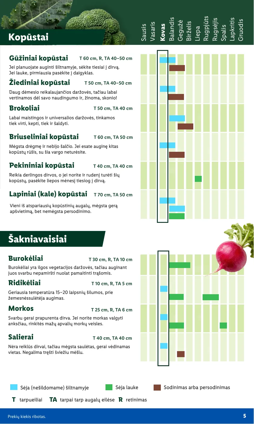 Lidl Leidinys Sodui valio! Nuo pirmadienio, 03 09 – p.5