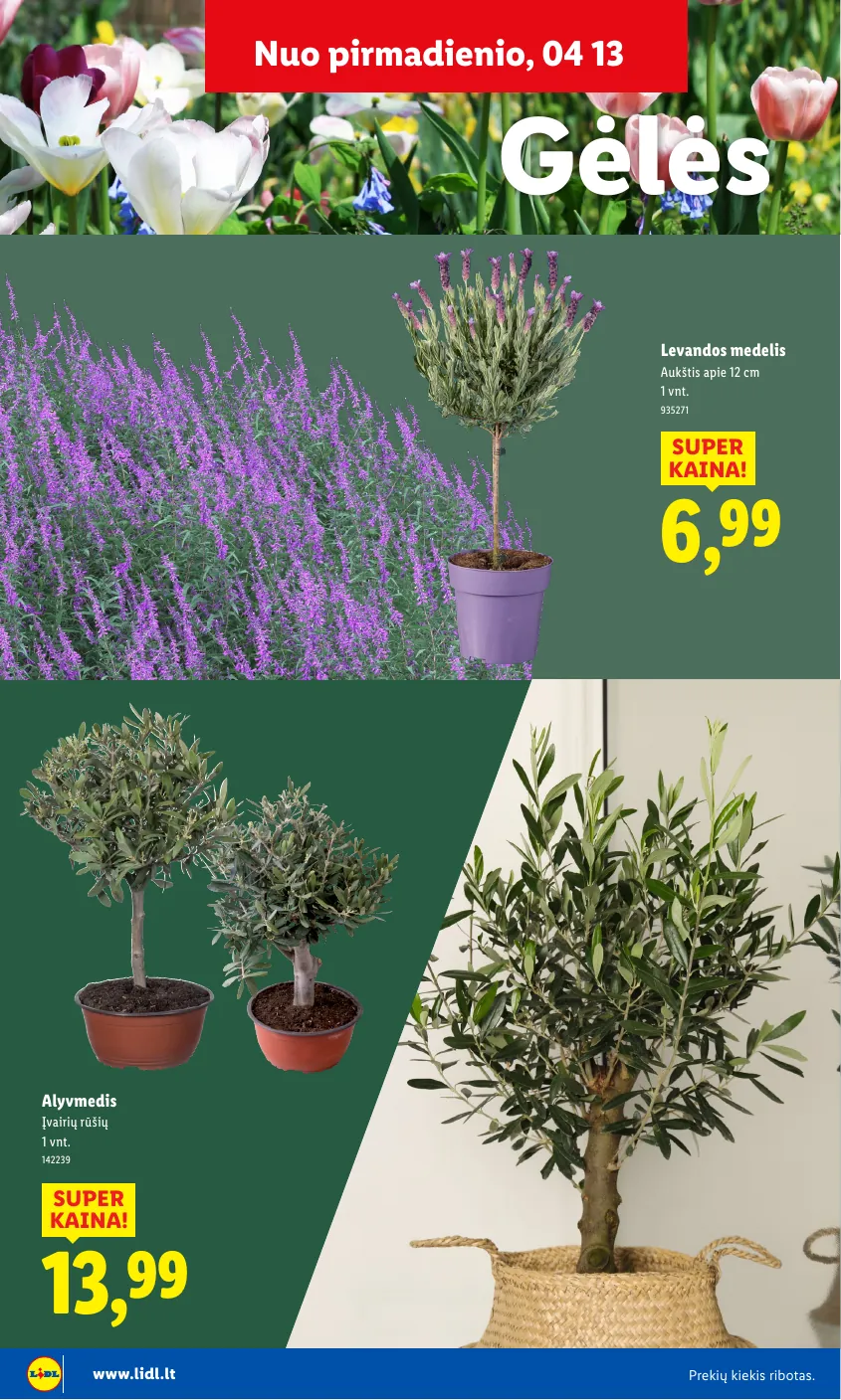 Lidl Leidinys Sodui valio! Nuo pirmadienio, 03 30 – p.22