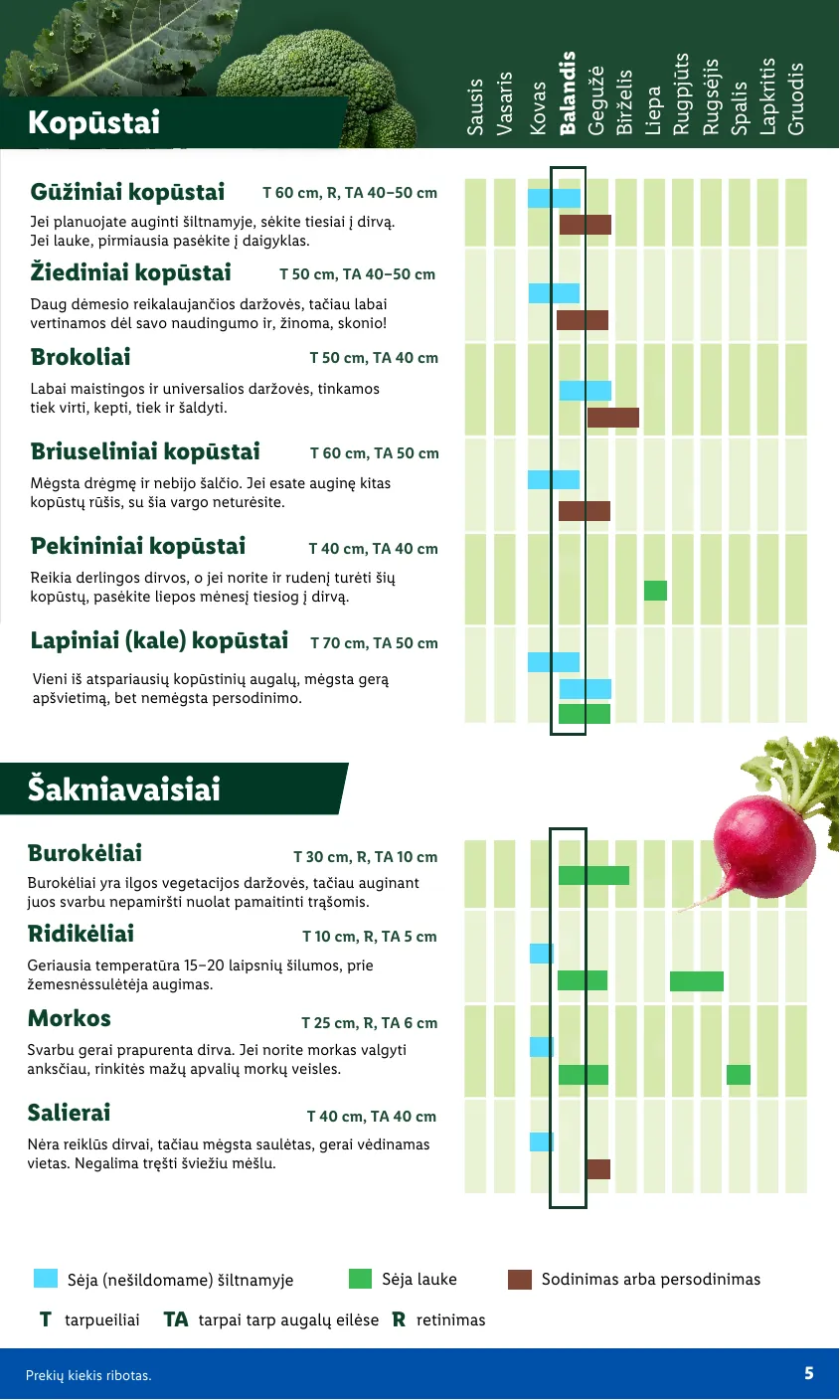 Lidl Leidinys Sodui valio! Nuo pirmadienio, 03 30 – p.5