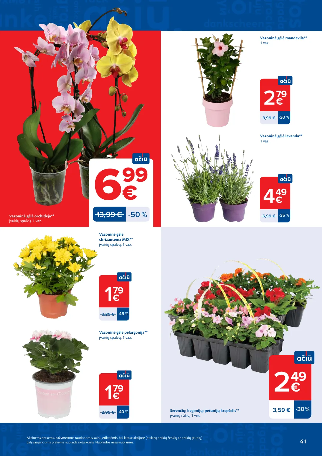 Maxima AČIŪ savaitinis leidinys Nr. 21 – p.41