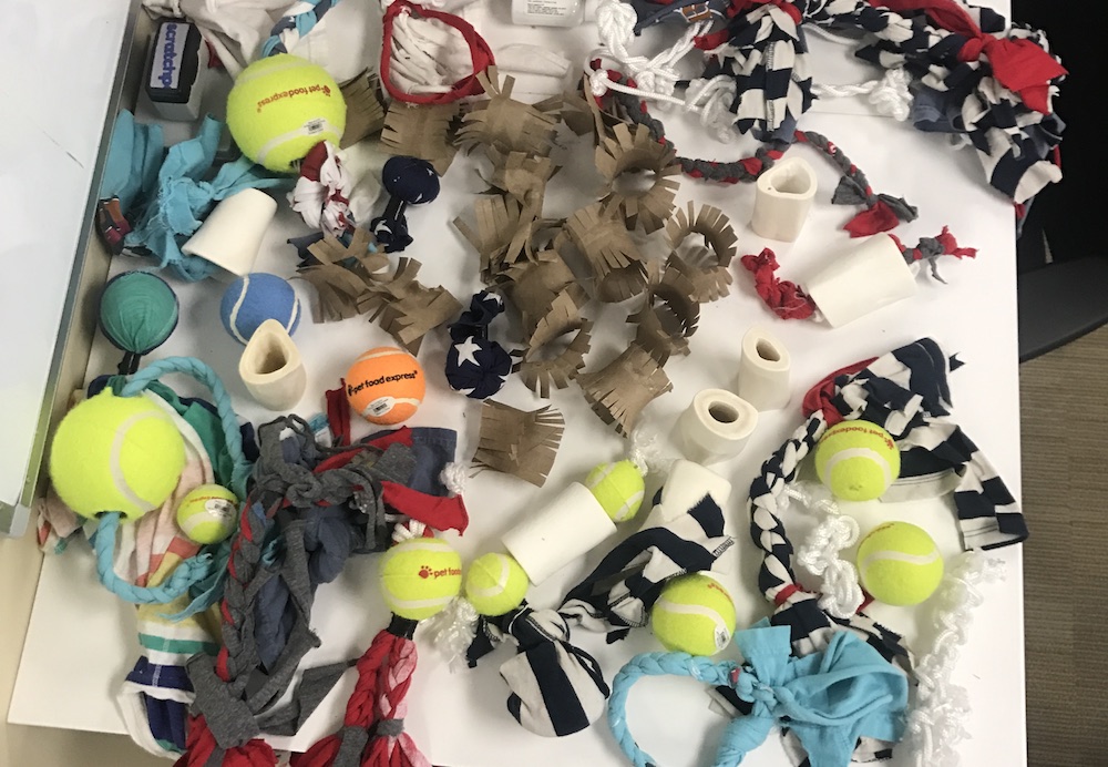 Where to Donate Dog Toys