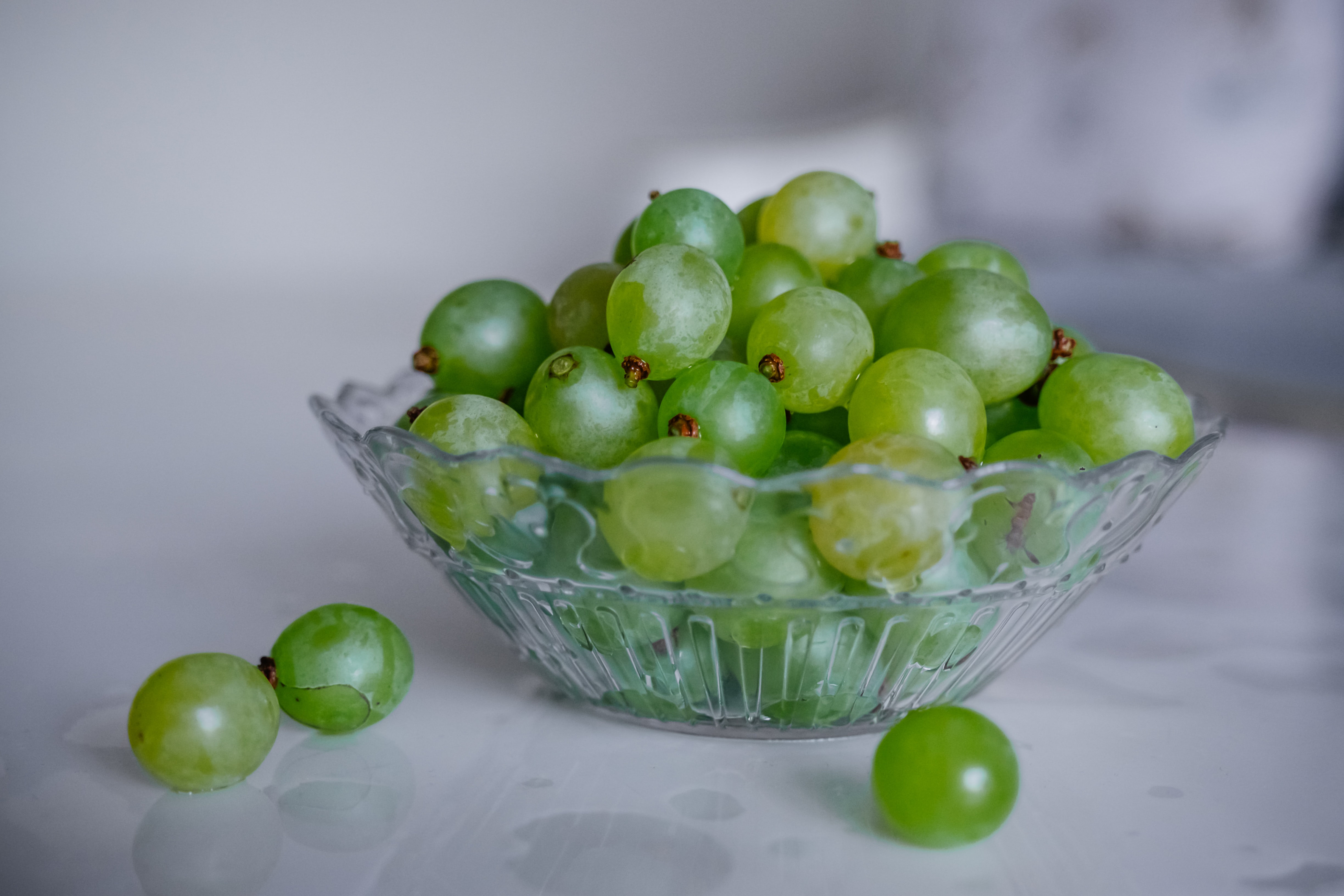 grapes and dogs