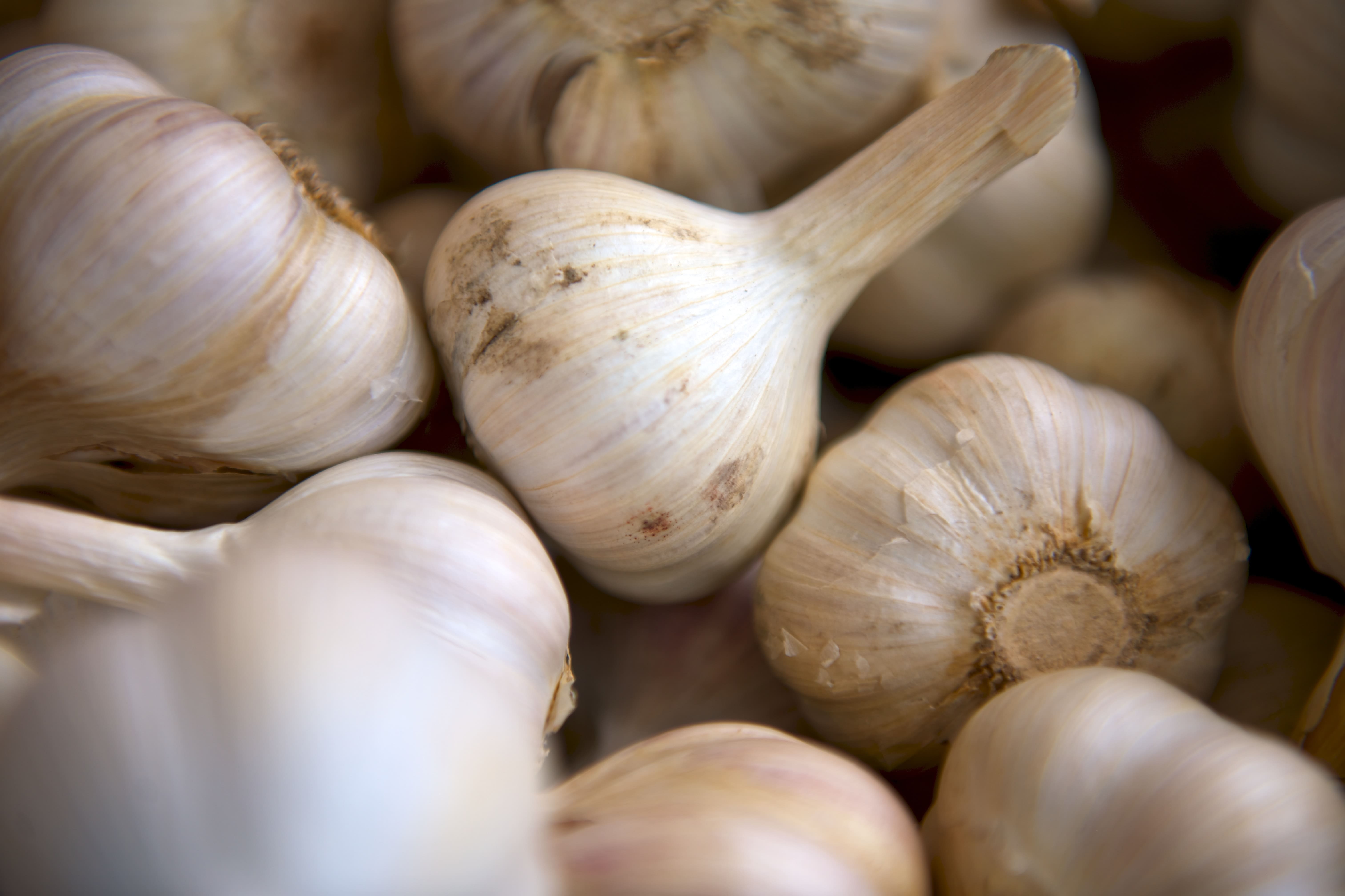 basket of garlic cloves