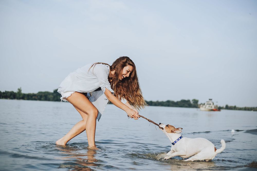 how to cool down a dog swimming