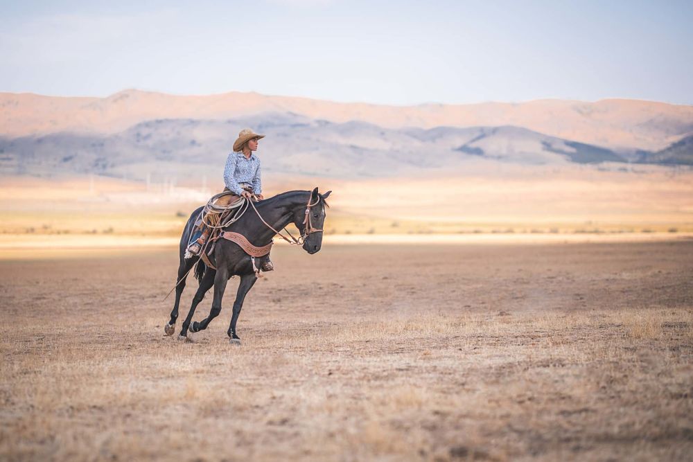 how to exercise your horse and manage weight riding