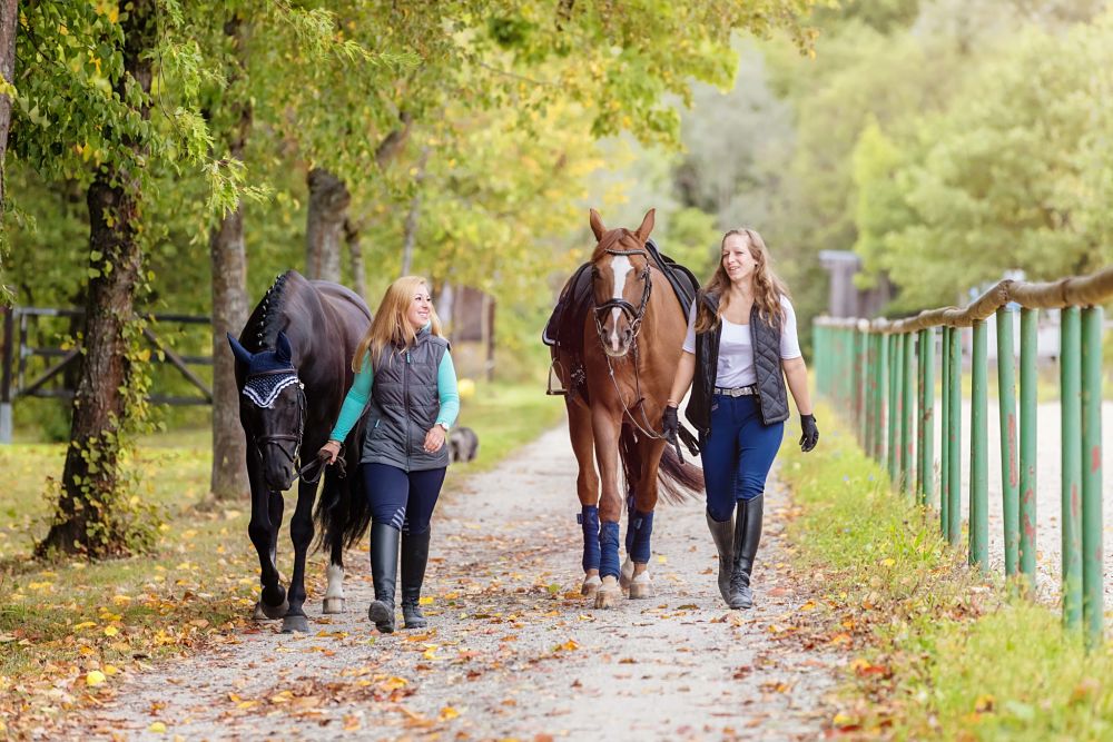 how to exercise your horse and manage weight walking