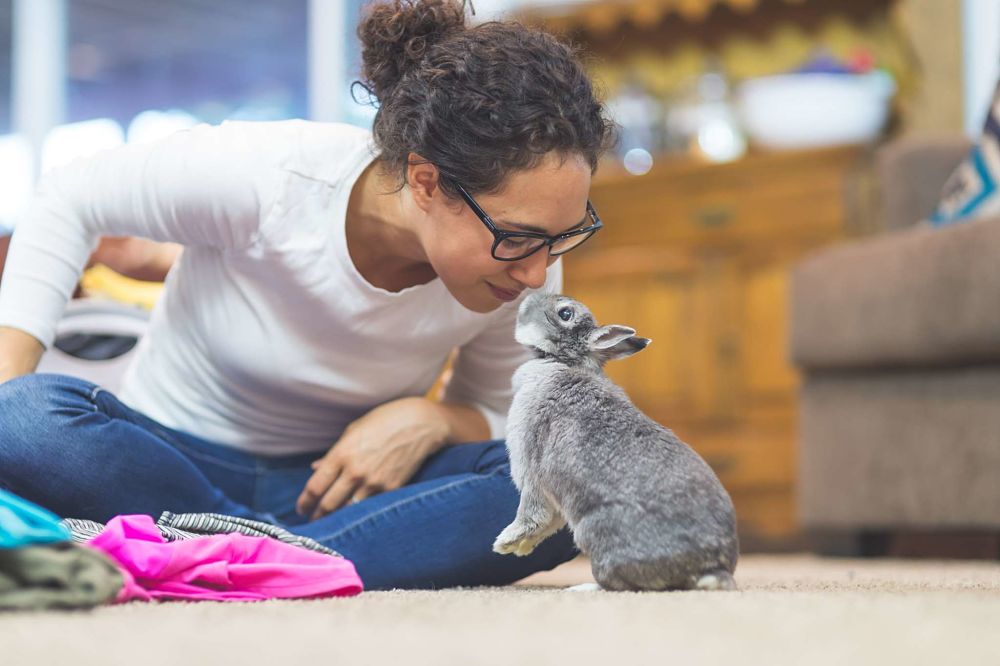 how to take care of a bunny by playing games