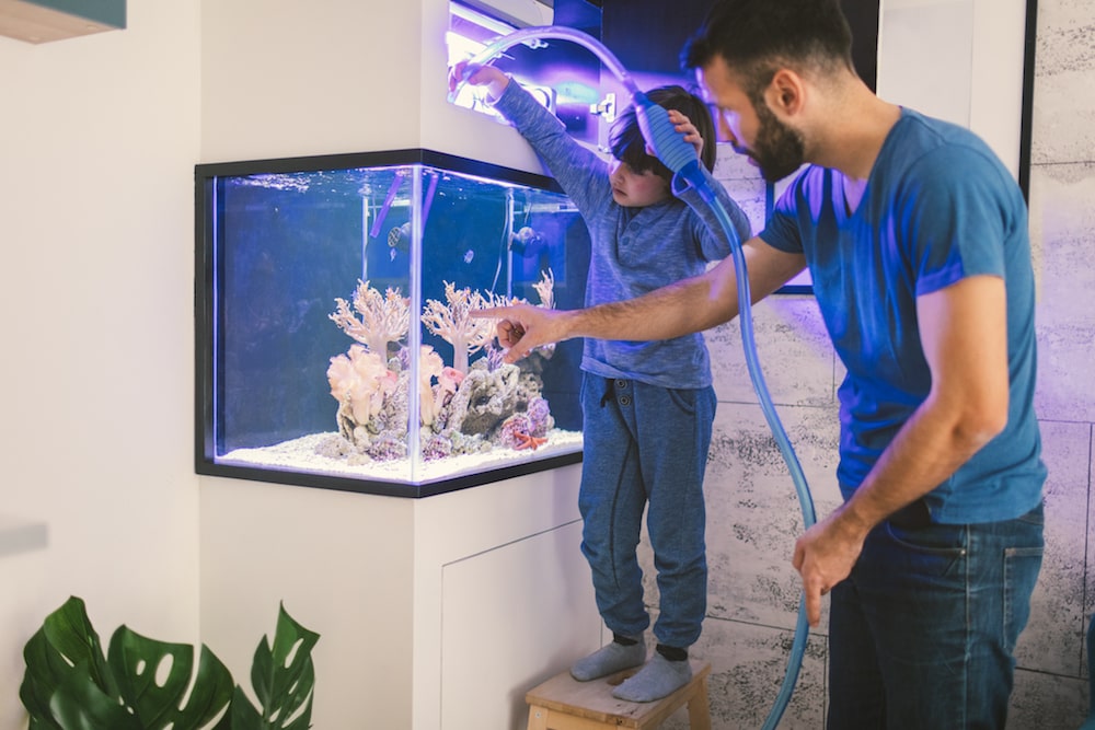  how to take care of a fish clean tank