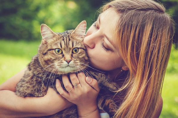 how to tell if your cat loves you