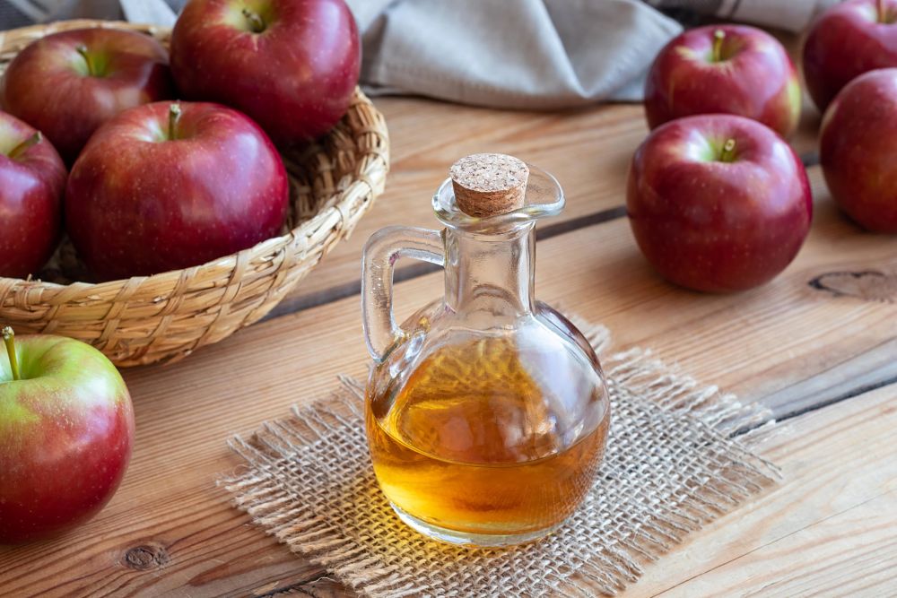 what to give a constipated dog apple cider vinegar