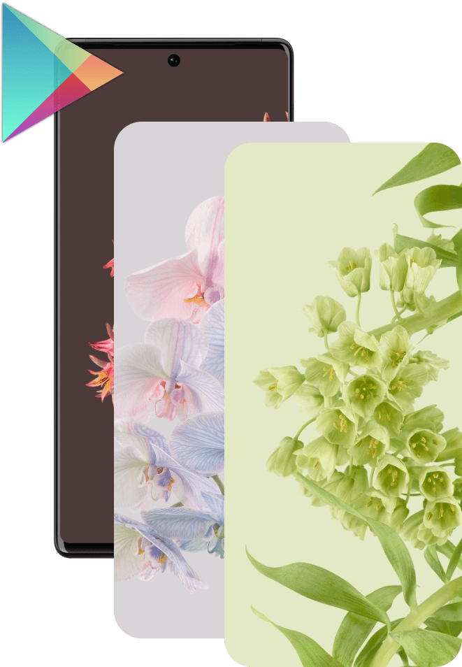 Template thumbnail
