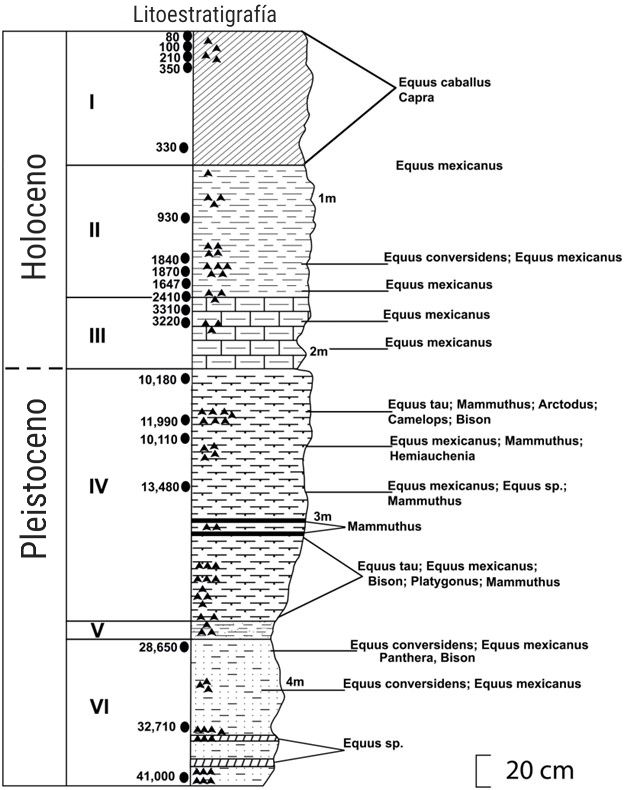 Horses (statified layers) ESP.jpg