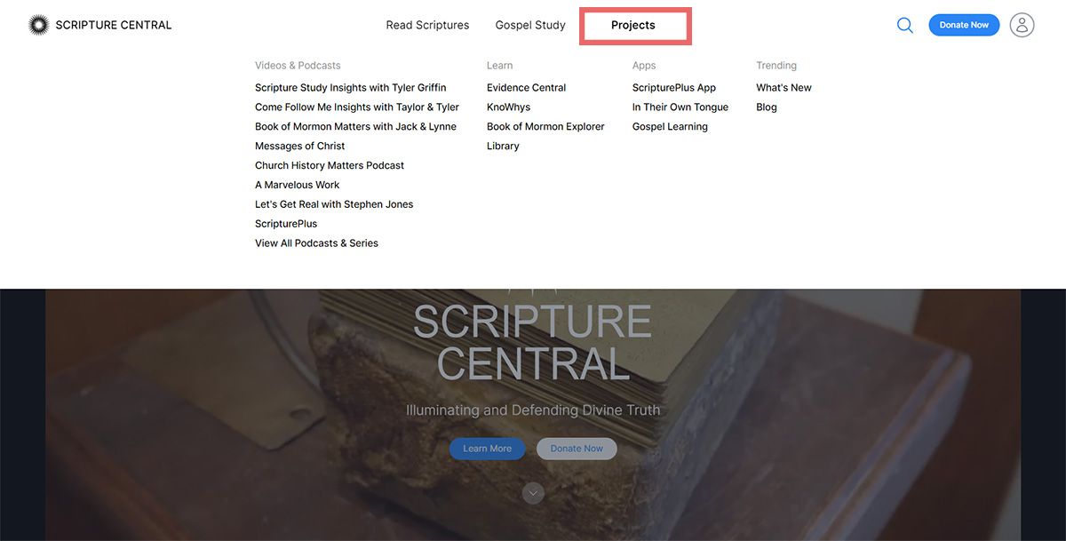 Screenshot of the Projects menu of the website.