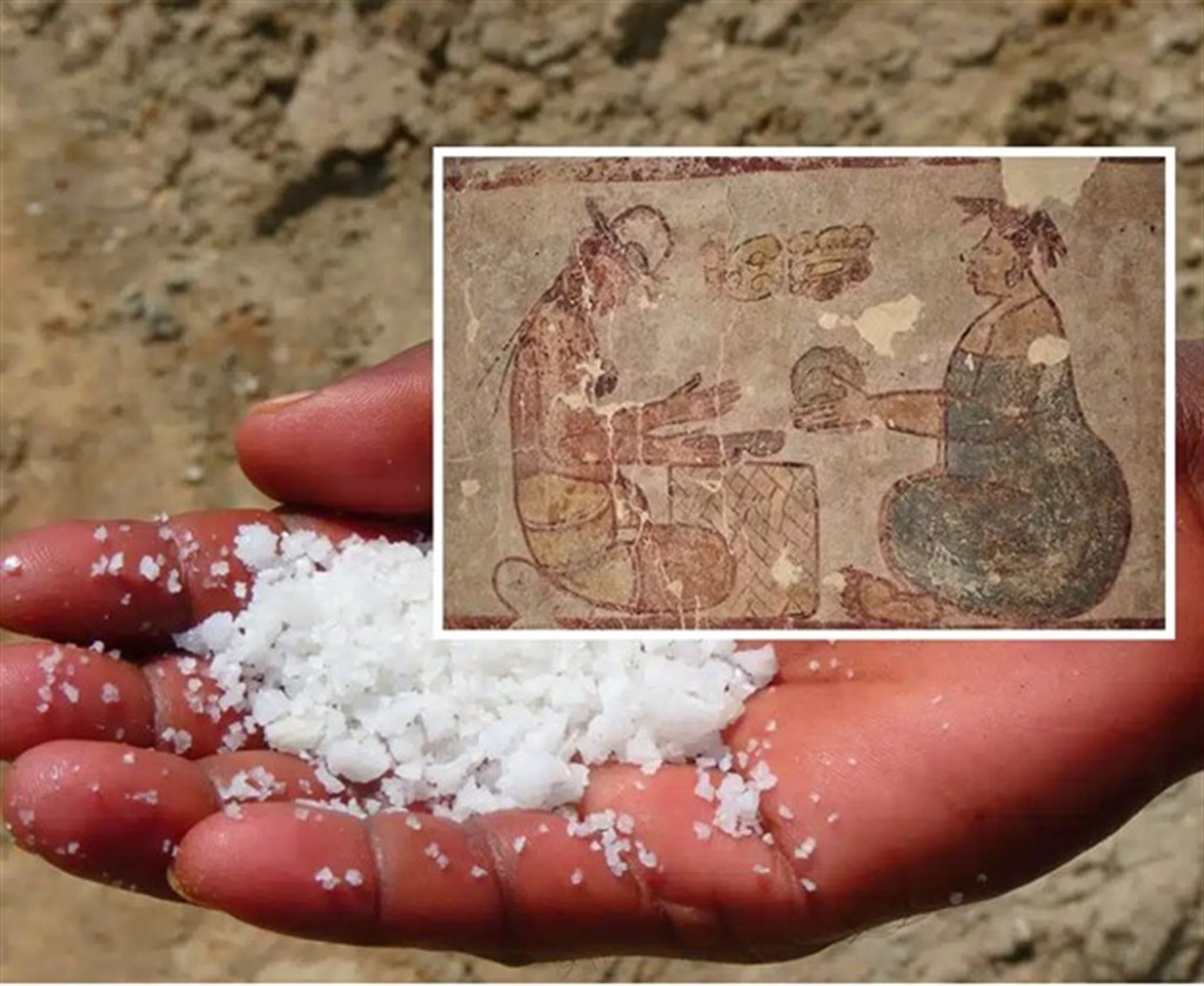 Salt | ScriptureCentral