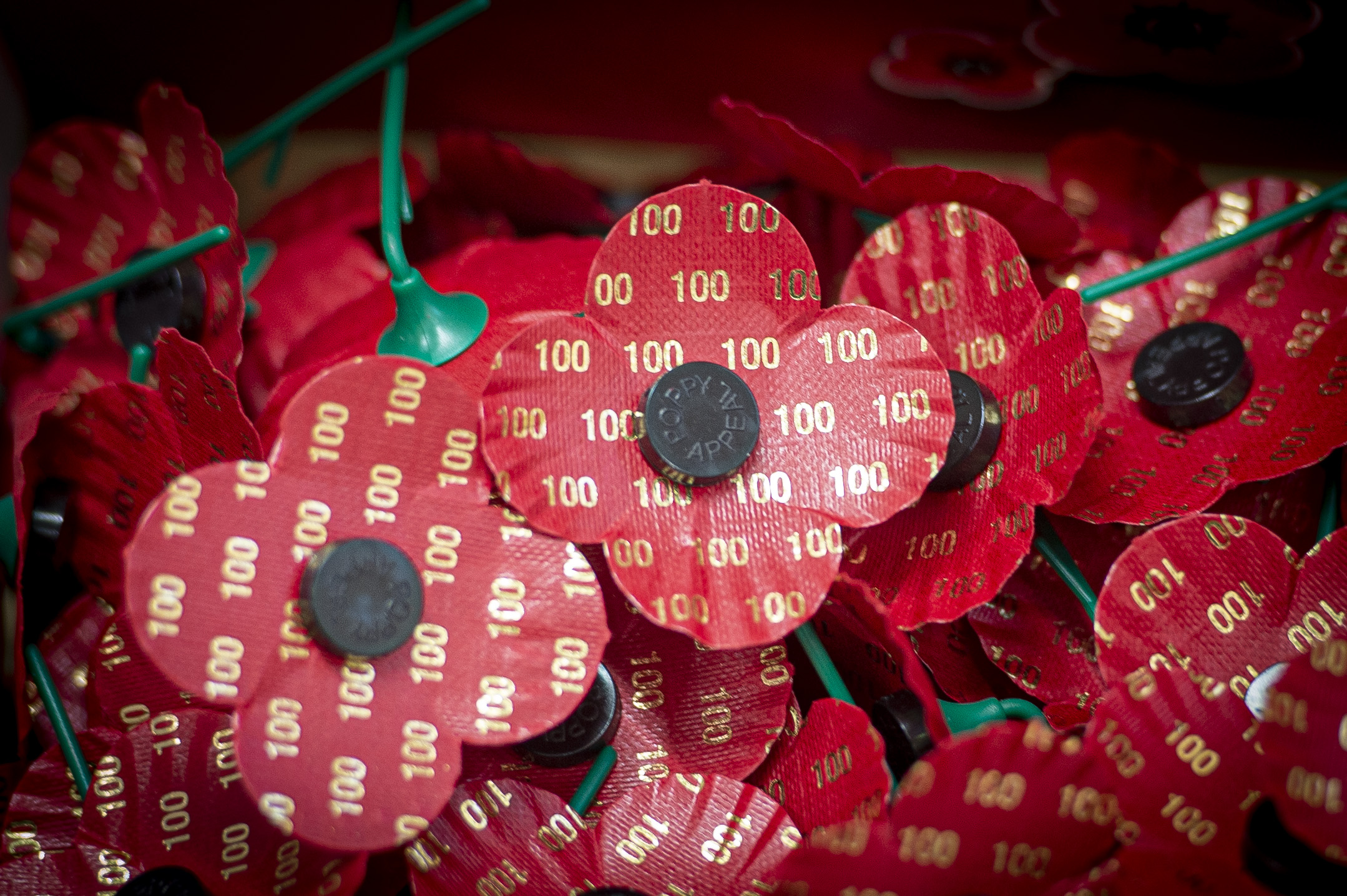 Stamp marks 100 years of the poppy as symbol of remembrance