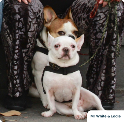 Eddie and Mr. White