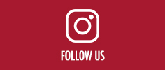 Instagram Button with Follow Us