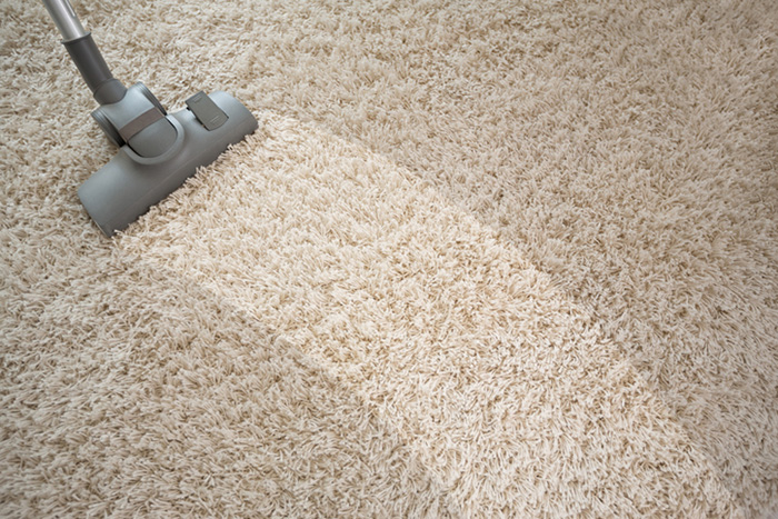 Upholstery and Carpet Maintenance
