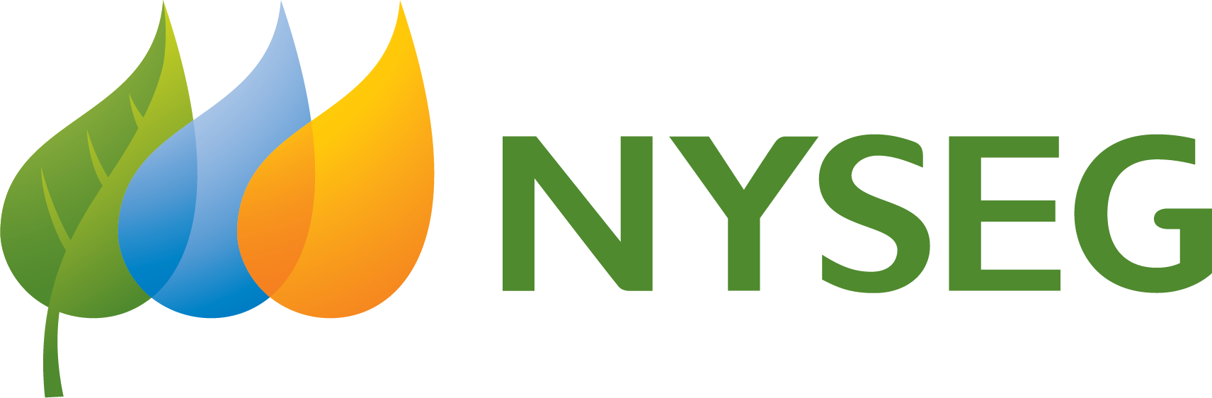 Nyseg Payment Options