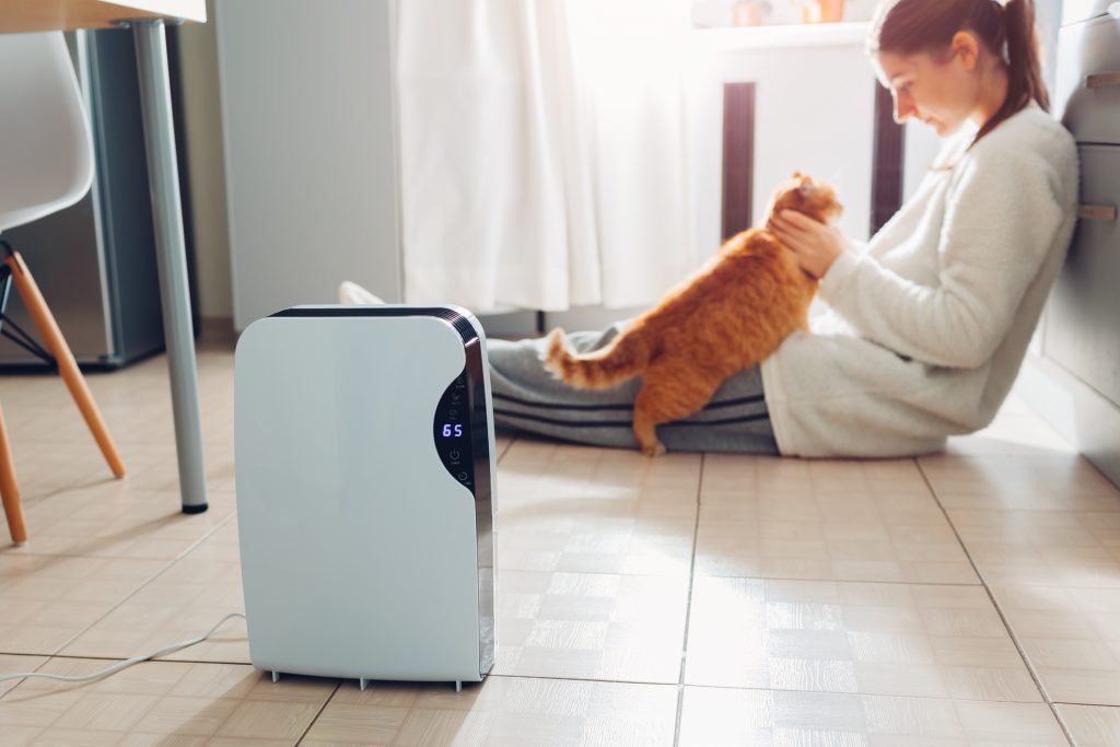 woman sitting on kitchen floor with cat and running a dehumidifier to reduce humidity
