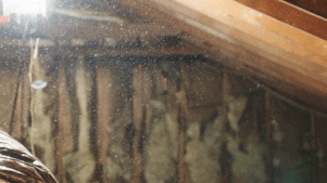 GIF video of dust swirling and settling in a poorly ventilated attic with old insulation