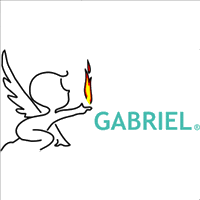 GABRIEL-Grupo de Atuação Brasileira para Realização de Transplantes 