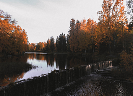 Autumn in Finland (Photographer: Binh Nguyen).