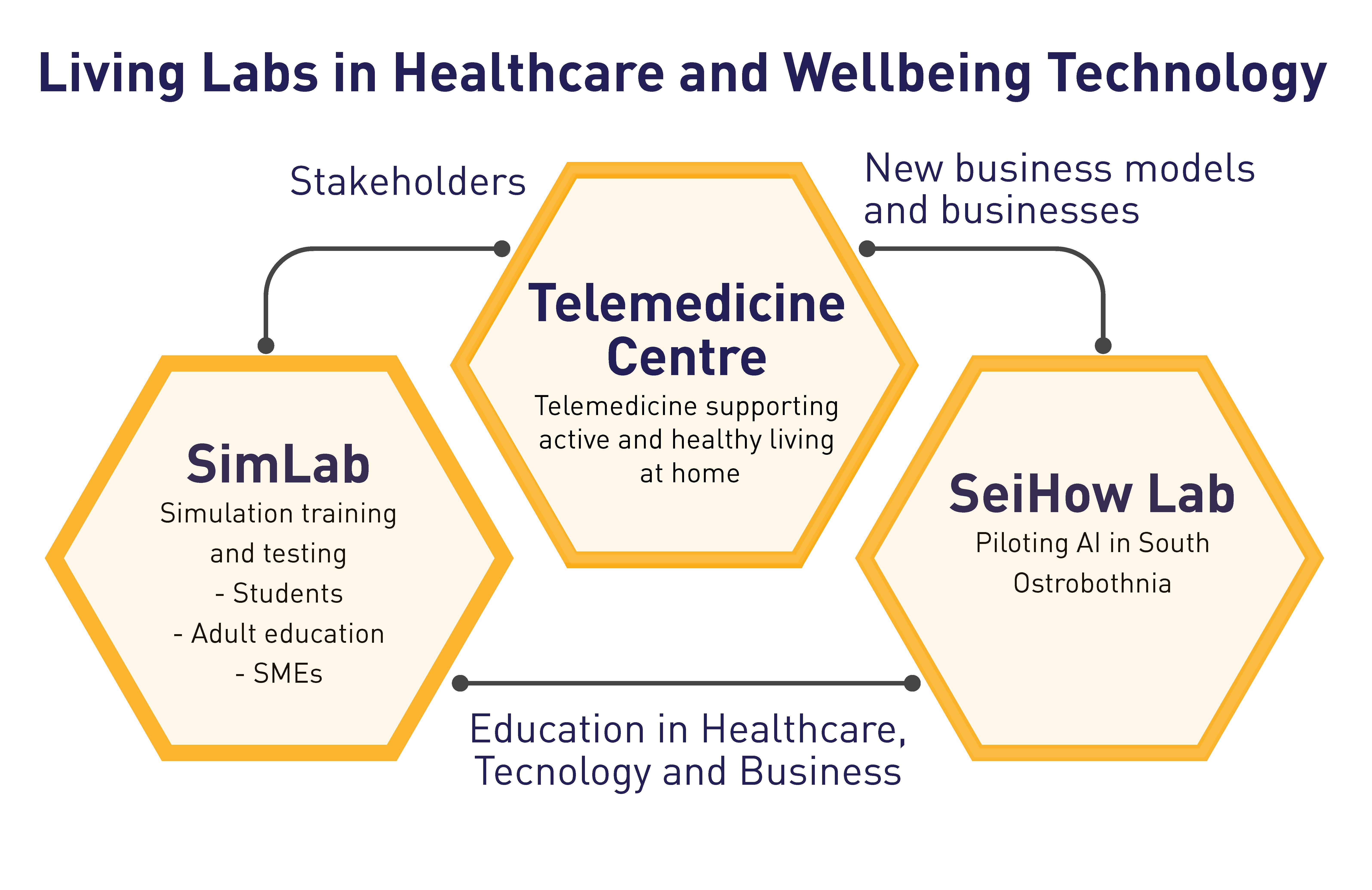 The figure is illustrating the three major Living Labs in Healthcare and Wellbeing Technology at SeAMK: Telemedicine Centre, Simulation Lab, and SeiHoW Lab.