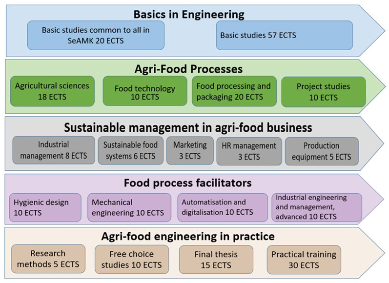 Agri-Food Engineering (AFE) structure of studies.