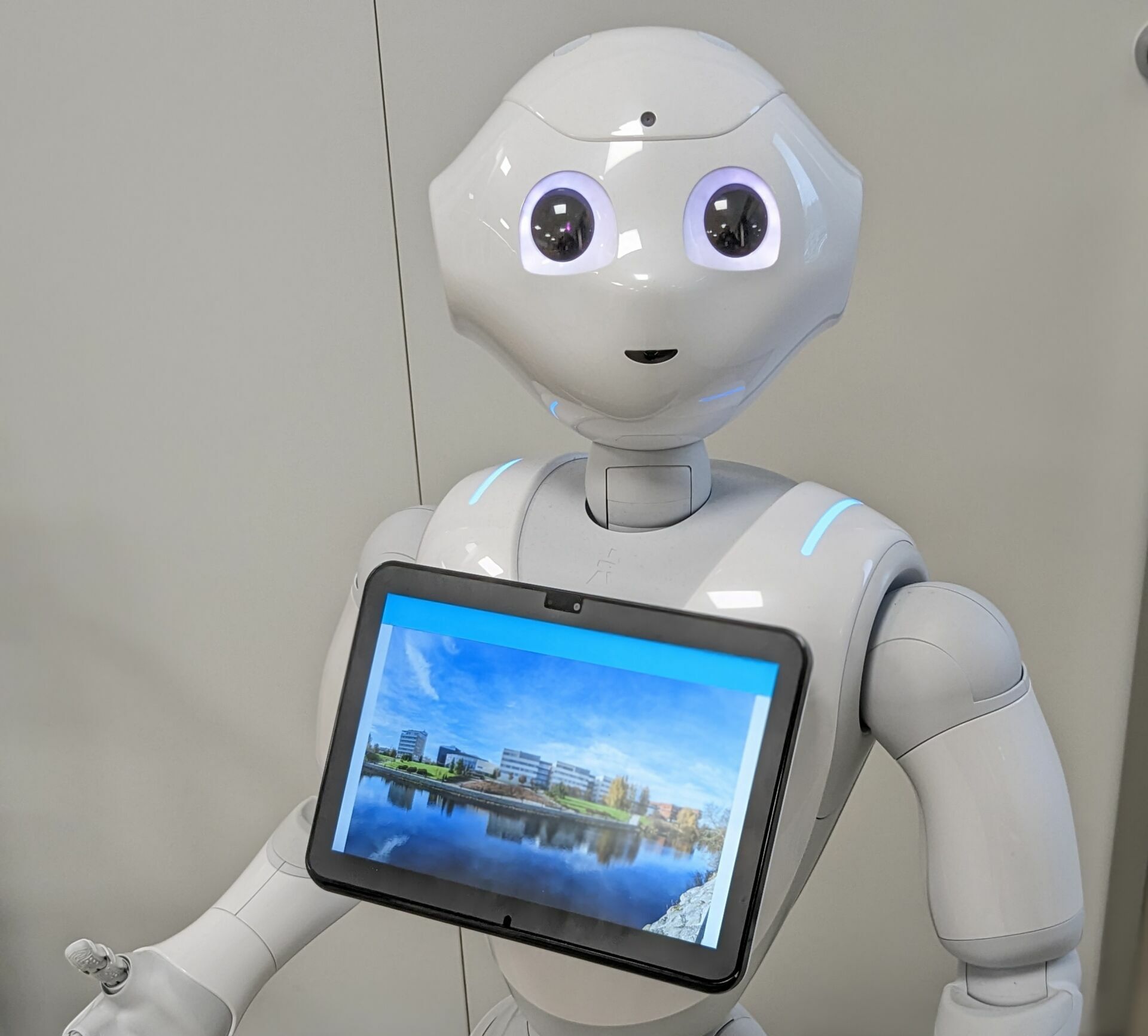 Pepper-humanoid robot